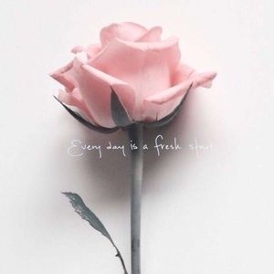 Meet your Posher, Regina